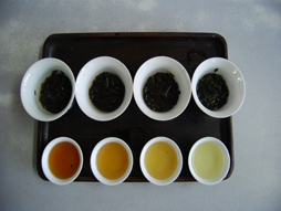 各種茶葉與茶品之照片