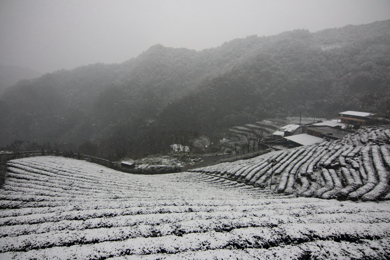 陳琇君-冰雪漁光