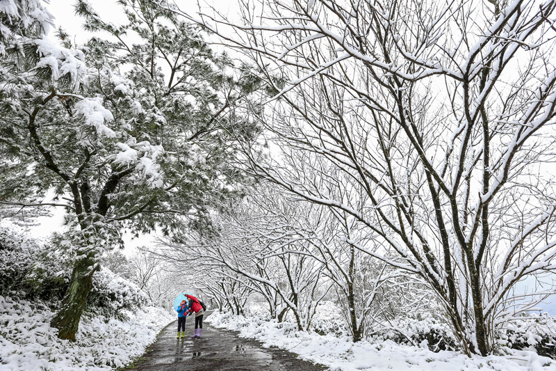 趙建生-連作-坪林雪景之美(共4張)(第2張)