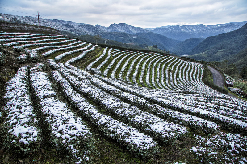  趙建生-連作-坪林雪景之美(共4張)(第3張)