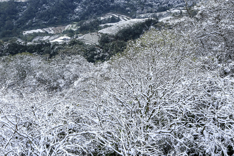  趙建生-連作-坪林雪景之美(共4張)(第4張)