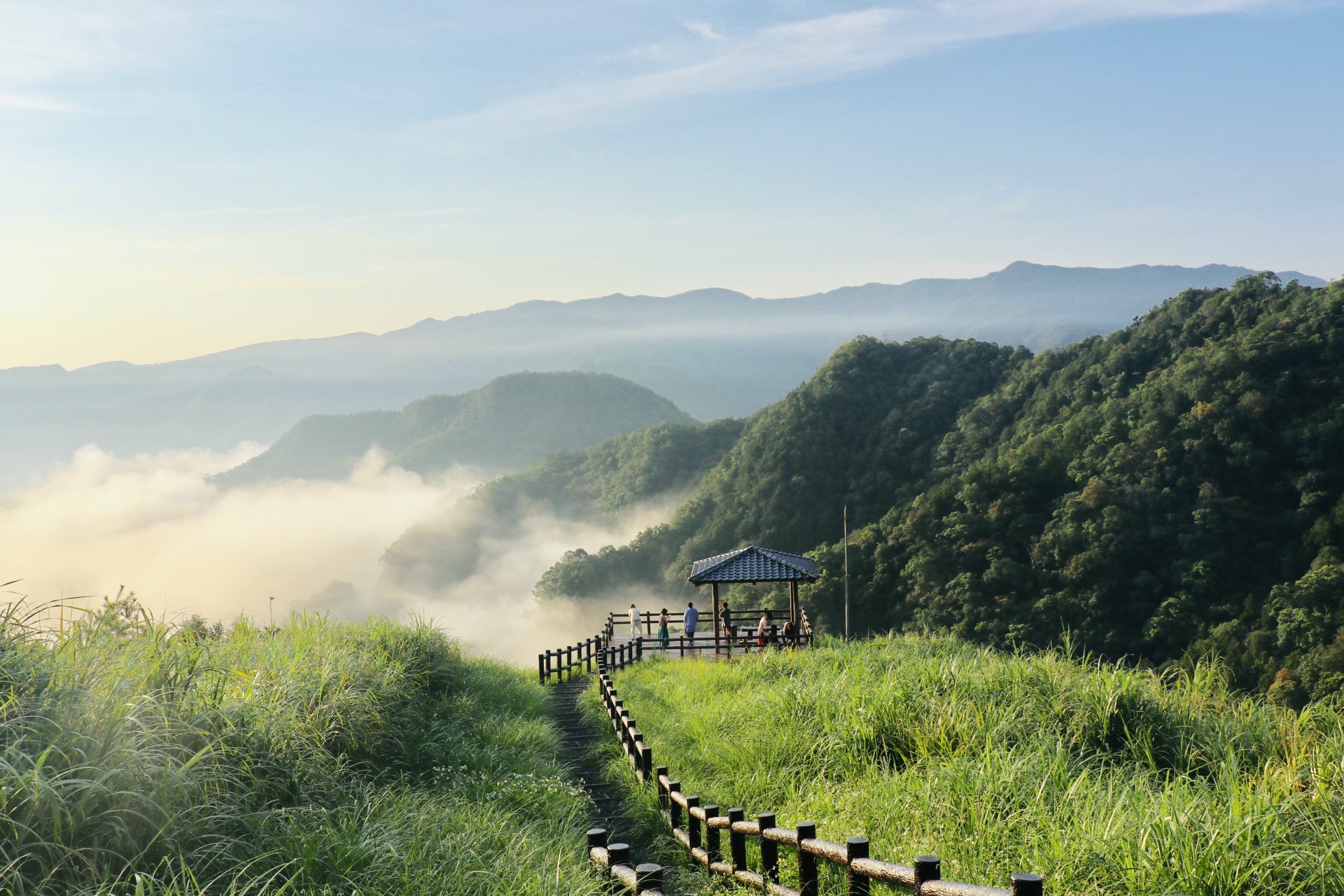 凝望(楊婉鈞)