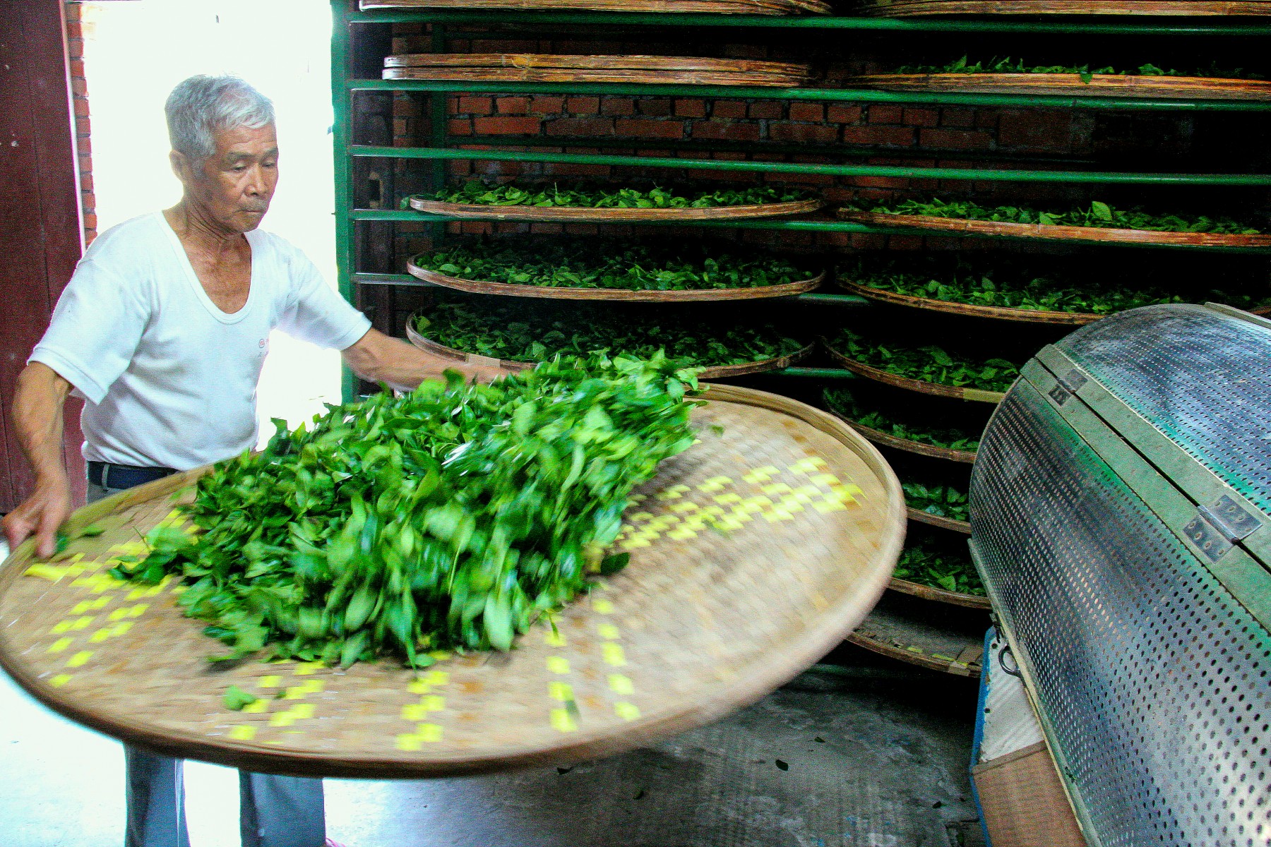 專注製茶(李明穎)