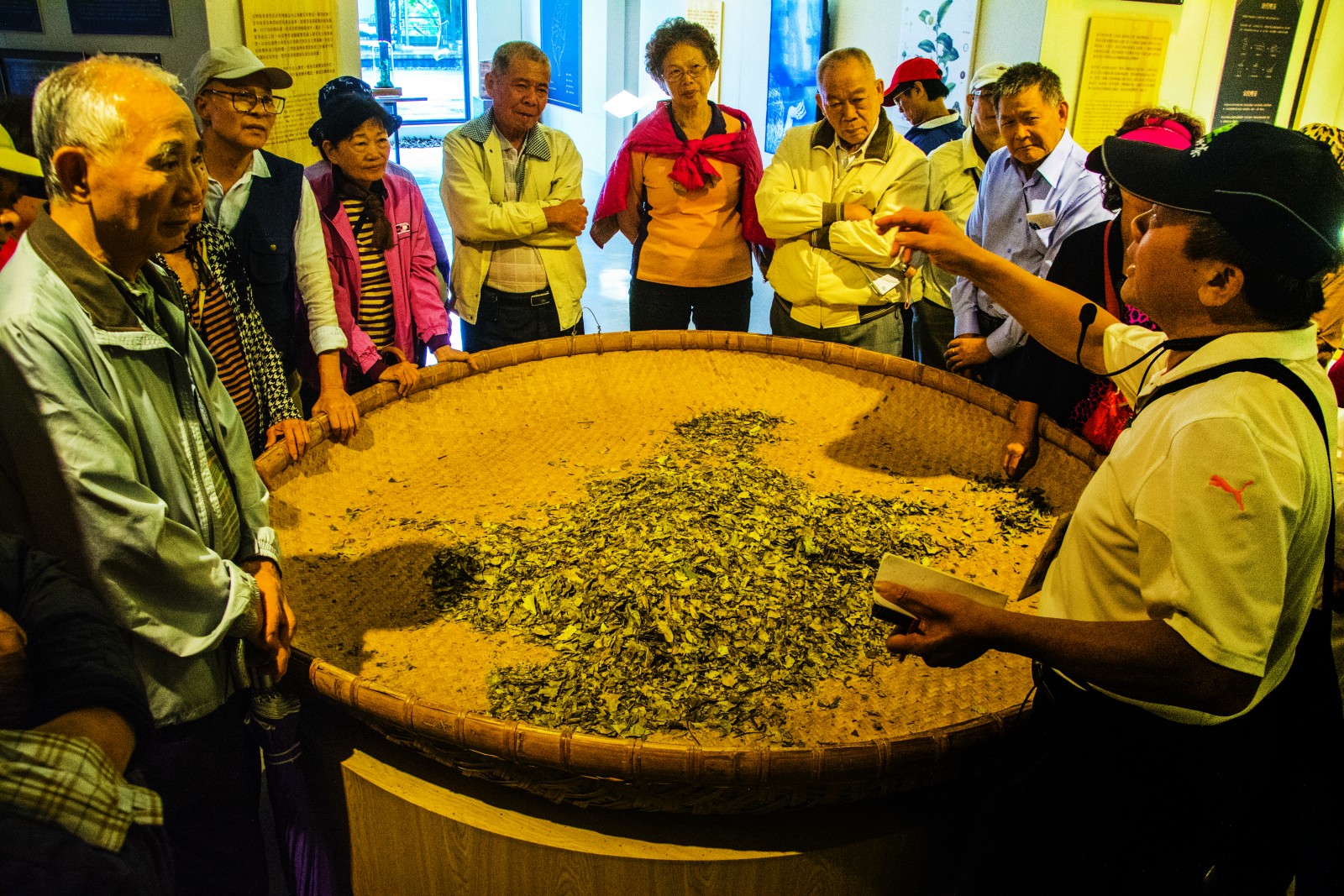 台中市民對茶葉很關注(陳裕)