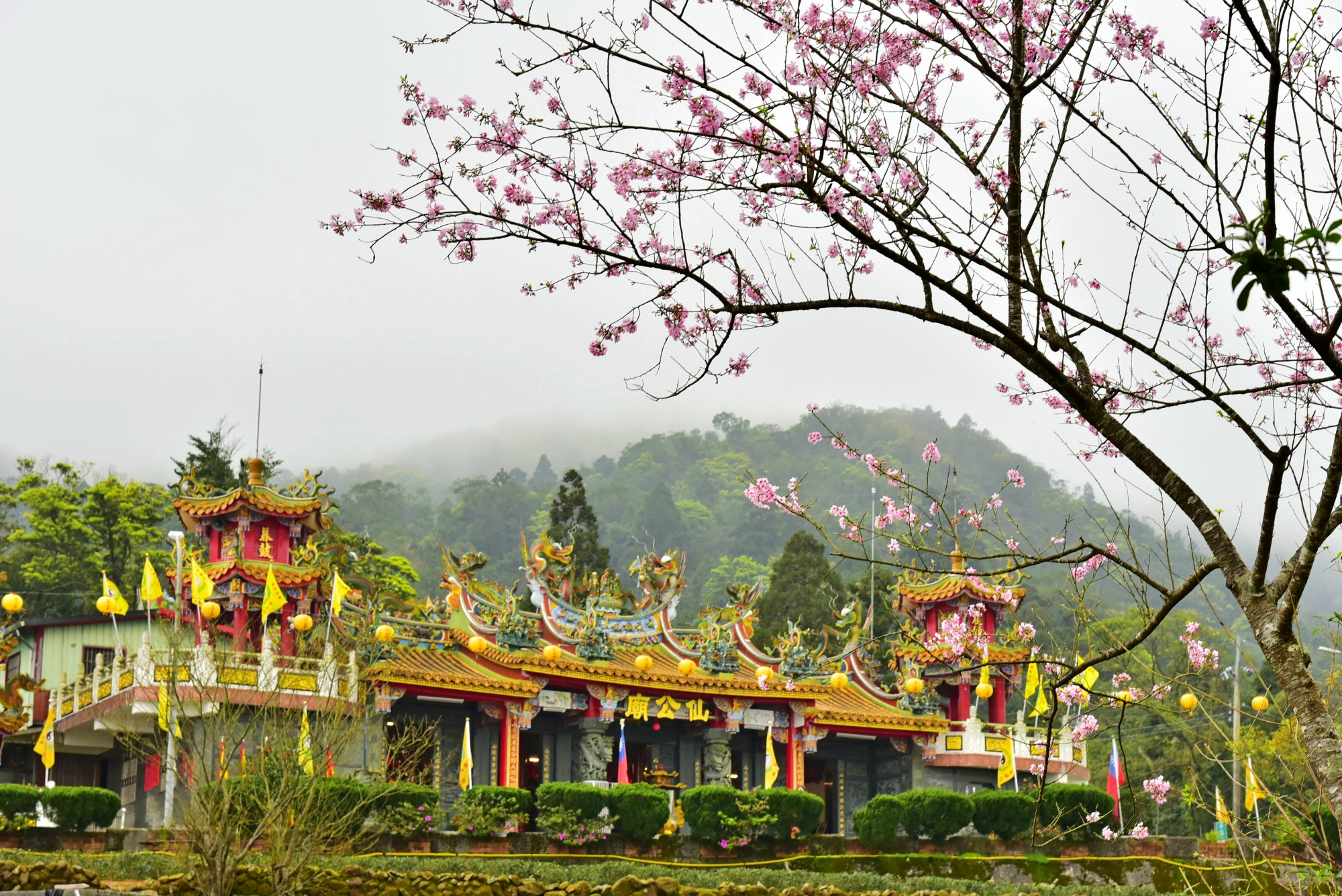 花現南山寺(王其榕)