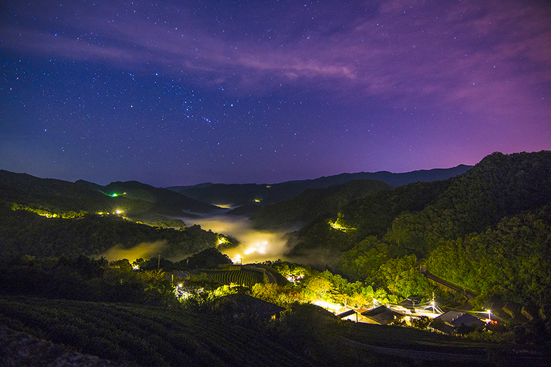 茶鄉星辰-陳碧玉
