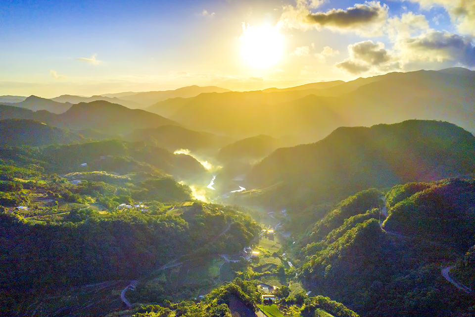 坪林日出山嵐-陳紫晴