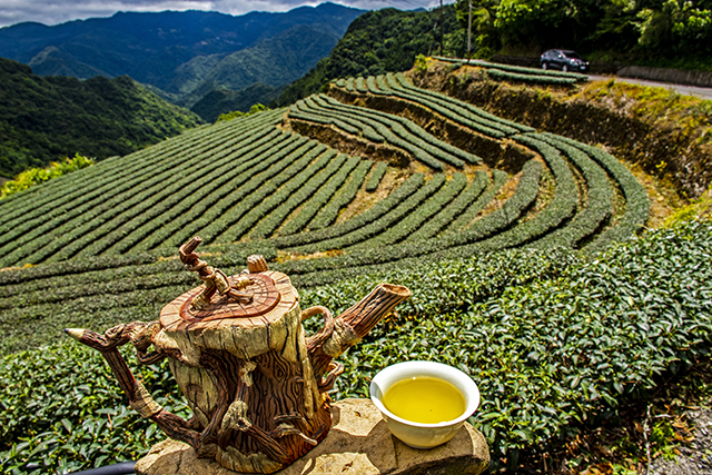 C創意-優選-休閒茶園-潘丁榮