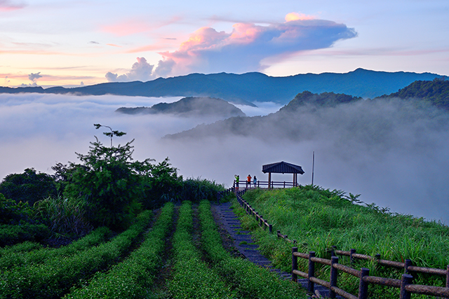 C創意-優選-雲海奇景-王其榕