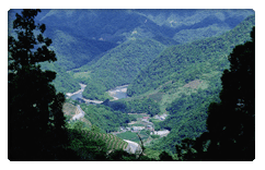 南山寺遠眺大舌湖